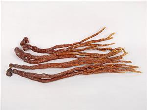 【源宇生物科技】破壁靈芝孢子粉每天應(yīng)該什么時(shí)間服用？